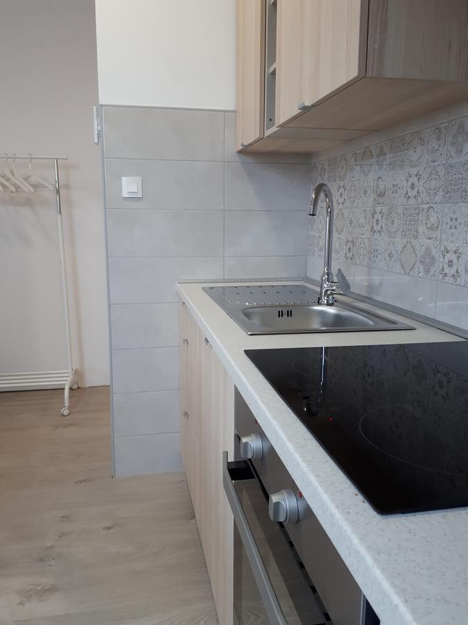 Apartments Zagy Hrvatski Leskovac Екстер'єр фото